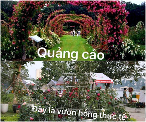 sung sot voi 3 le hoi hoa duoc vi nhu 