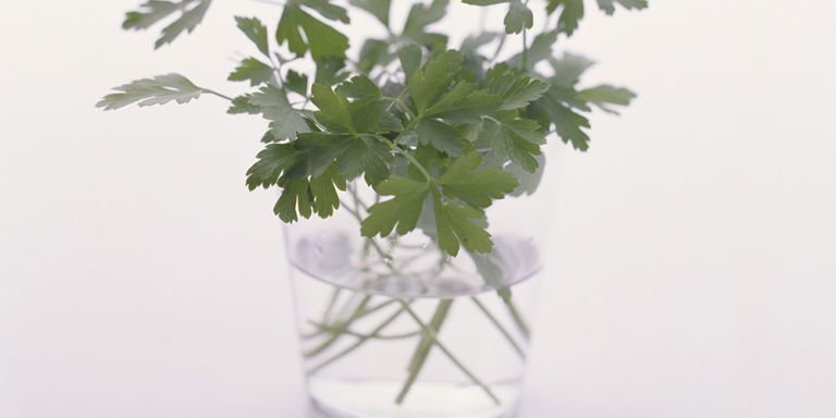 10 mẹo vặt 