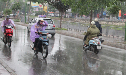 Dự báo thời tiết ngày 7/3: Bắc Bộ trời mưa rét