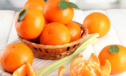 6 loại thực phẩm chữa bệnh tốt hơn cả kháng sinh