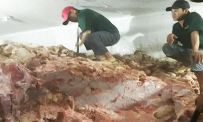 Hơn 30 tấn thịt heo không nguồn gốc suýt ra thị trường