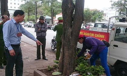Tin nóng trưa 11/3: Thu 80 triệu đồng tiền phạt với 40 người đi tiểu bậy