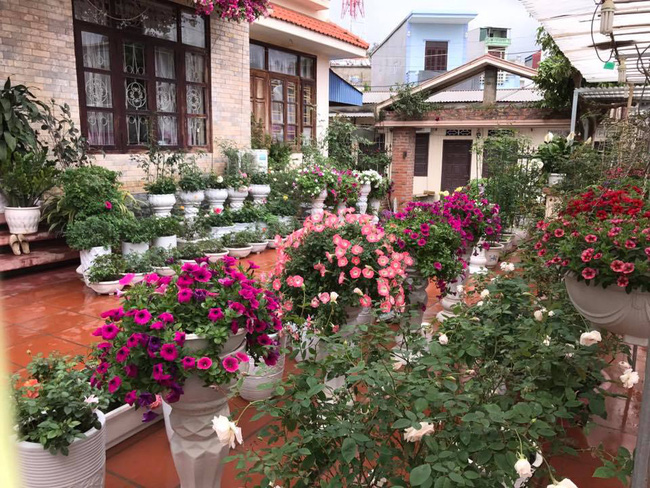 Căn biệt thự chìm ngập trong sắc hoa đẹp như cổ tích ở thành phố Hạ Long, Quảng Ninh - Ảnh 3.