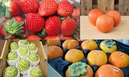 5 hoa quả nhập khẩu giá 200-500 ngàn đồng/kg vẫn hút nhà giàu Việt
