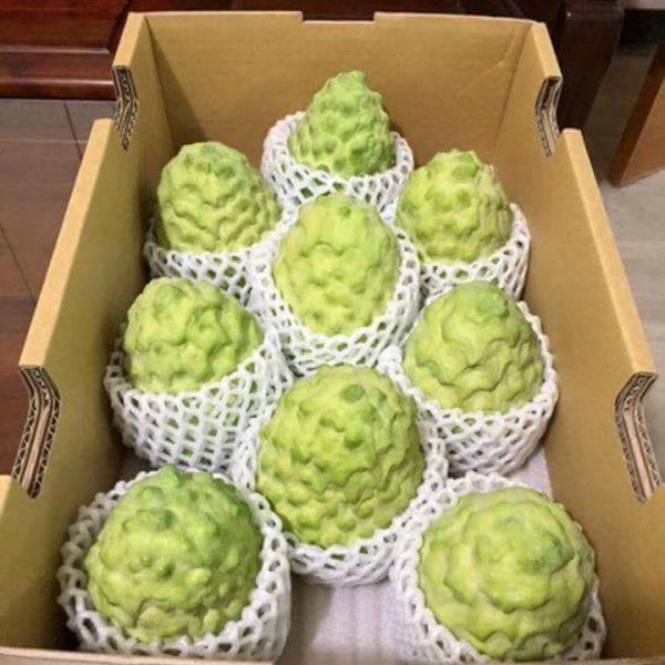 5 hoa quả nhập khẩu giá 300-500 đồng/kg, nhà giàu Việt vẫn tới tấp mua