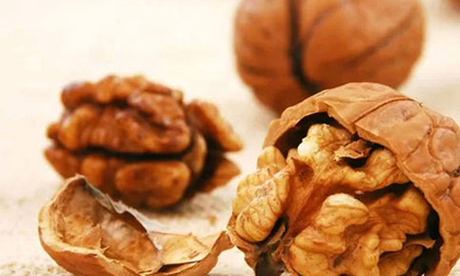 Tác dụng bất ngờ khi ăn quả óc chó bạn có thể chưa biết
