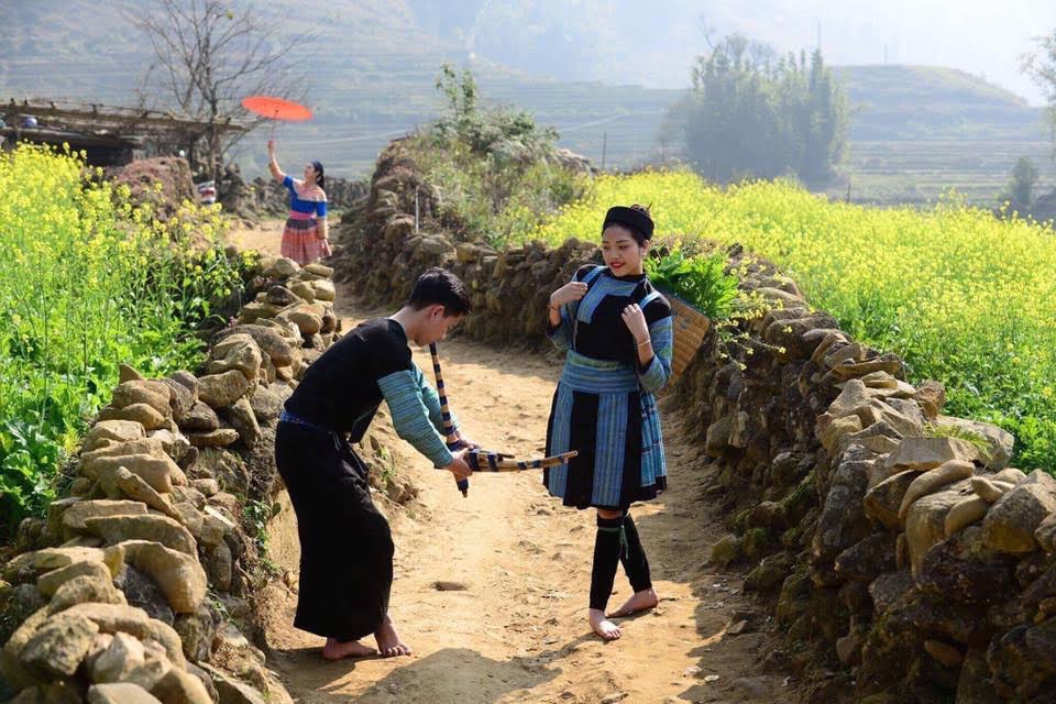 Cánh đồng hoa cải vàng ở bản Cát Cát 