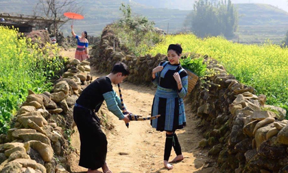 Cánh đồng hoa cải vàng ở bản Cát Cát 'hút hồn' du khách đến Sa Pa