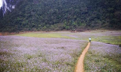 Đến Cao Bằng ngày nắng và ngắm “tuyệt tình cốc” phiên bản Cao Bằng