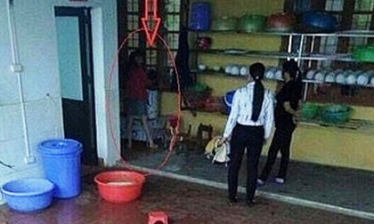 Hiệu trưởng dốc đầu trẻ vào máy vặt lông gà bị cách chức