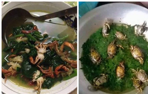 Mẹ chồng dặn giã cua nấu canh, con dâu đảm làm y lời, và đây là kết quả... - Ảnh 4.