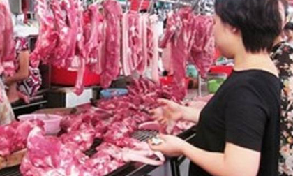Dừng nhập thức ăn chăn nuôi 'ngậm' kháng sinh