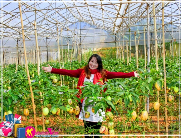 10 điểm đến ' sốt sình sịch' dịp 30/4 đang hút khách