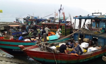 Hà Tĩnh: Phát hiện thi thể người đàn ông trôi trên biển