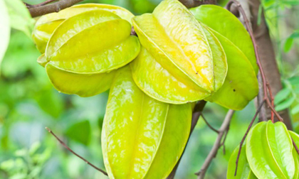 Dè chừng với 7 loại thực phẩm nếu ăn sai cách dễ tử vong