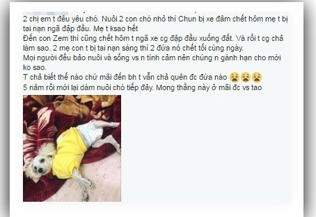 Buc anh cuoi cung cua chu cho hy sinh tinh mang de cuu chu hinh anh 3