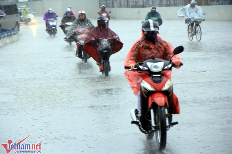 20170420223301-mua-xahoi.com.vn-w800-h533