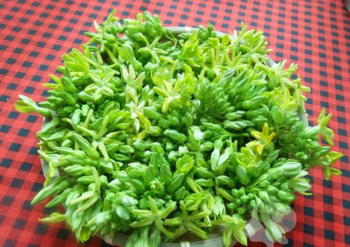 cach lam hoa thien ly xao thap cam thom nuc, ngui da them hinh anh 1