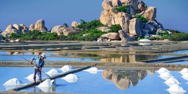 Trải nghiệm Ninh Thuận trọn vẹn từ A đến Z - 1
