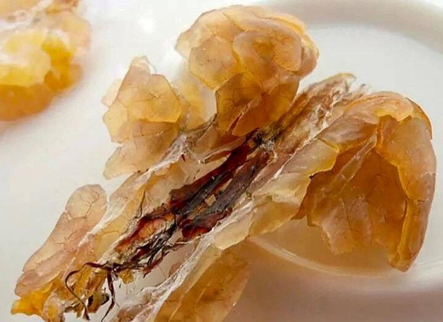 Những điều chưa biết về