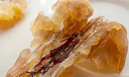 Những điều chưa biết về 'thần dược ếch nhái' đang 'hot' giá gần 100 triệu đồng/kg