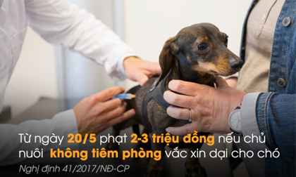 Chính sách nổi bật có hiệu lực từ tháng 5