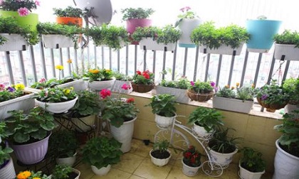 Những thứ kiêng kỵ không đặt ở ban công tránh vận xui