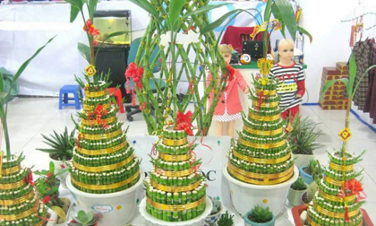 Bỏ tiền mua cây này để trong nhà đảm bảo bạn không bao giờ hối hận 