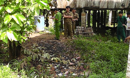 Nghi ngáo đá, nam thanh niên tự thiêu