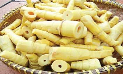 Nhận diện măng 'tắm' hóa chất