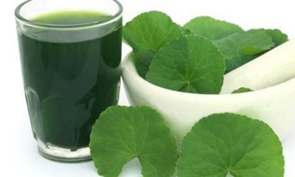 Tác hại đáng sợ của rau má nhiều người chưa biết