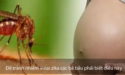 51 thai phụ nhiễm virus Zika tại TP.HCM, bà bầu cần lưu ý