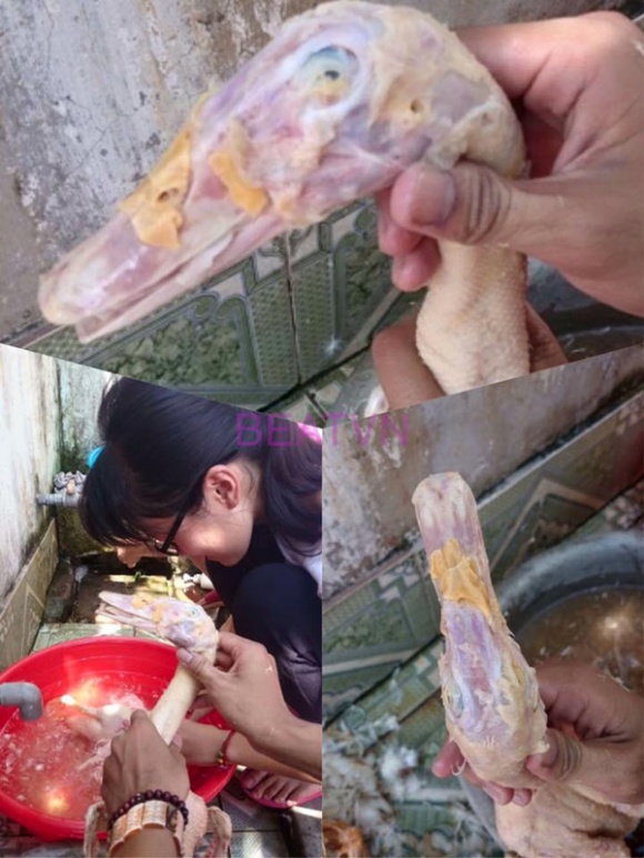 hai hung voi man nho long vit cua 