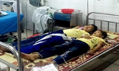 Tuyên Quang: Ăn quả thầu dầu, 5 trẻ nhập viện cấp cứu vì ngộ độc