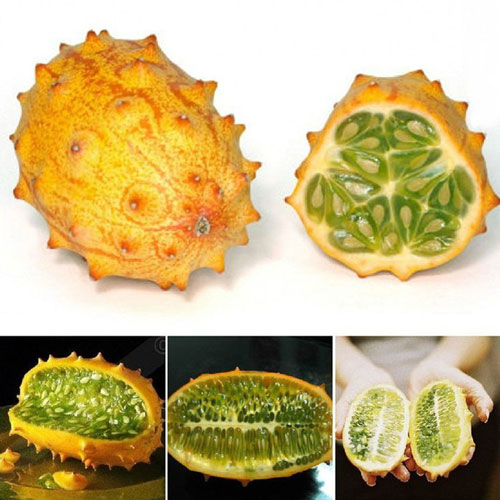 Những lợi ích không ngờ này khiến nhà giàu đua nhau mua trái cây ngoại lai - 3