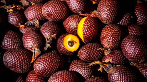 Những lợi ích không ngờ này khiến nhà giàu đua nhau mua trái cây ngoại lai - 8