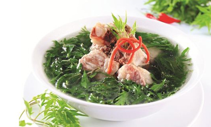 Cách nấu canh đinh lăng sườn non ngon, bổ, hấp dẫn