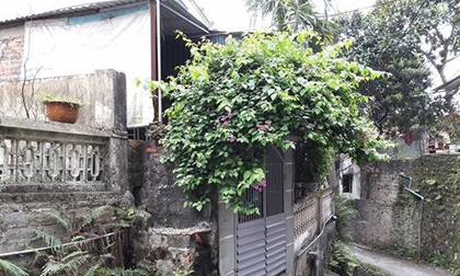 Bé gái 4 lần bị ông tổ trưởng xâm hại: Bắt tạm giam nghi can