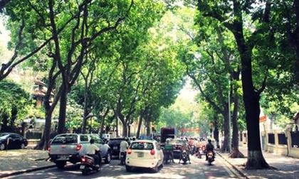Thời tiết hôm nay 21/5: Hà Nội ngày nắng, đêm mưa