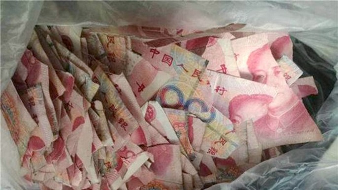 Ở nhà 1 mình, bé trai TQ xé tan 165 triệu đồng của bố mẹ - 1
