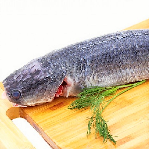 Ngon khó cưỡng, cá lóc nhồi thịt sốt cà chua - 1