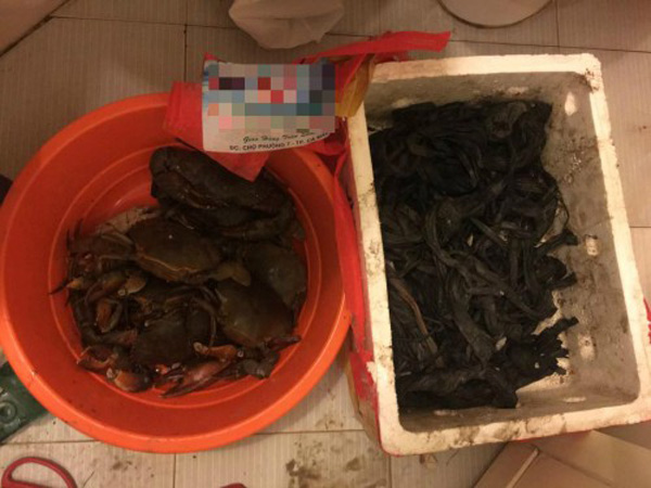 khoc thet, mua 10kg cua bien ‘an’ 6kg day buoc bang vai xop ngam bun - 4