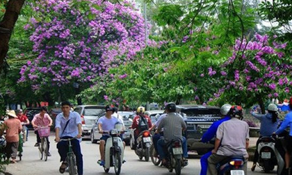 Tin thời tiết 25/5: Miền Bắc mát mẻ, miền Trung mưa rất to