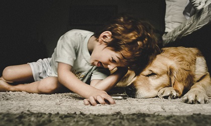 'Cuộc sống thì thầm vào tai ta mỗi ngày, nhưng nếu lờ chúng đi ta sẽ nhận lại tiếng hét'