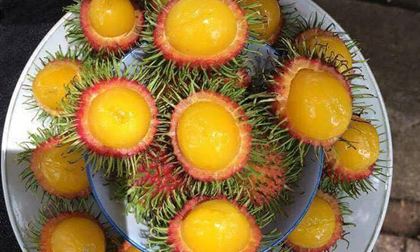 Chôm chôm ruột vàng 80 nghìn/kg được tín đồ ăn vặt Sài Gòn ráo riết tìm mua