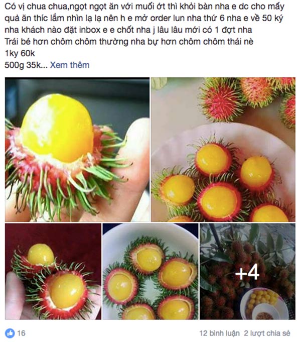 chom chom ruot vang 80 nghin/kg duoc tin do an vat sai gon rao riet tim mua - 2