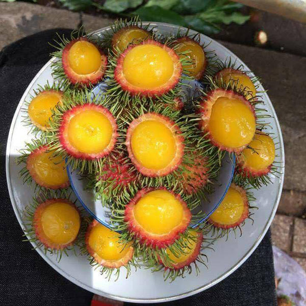 chom chom ruot vang 80 nghin/kg duoc tin do an vat sai gon rao riet tim mua - 5