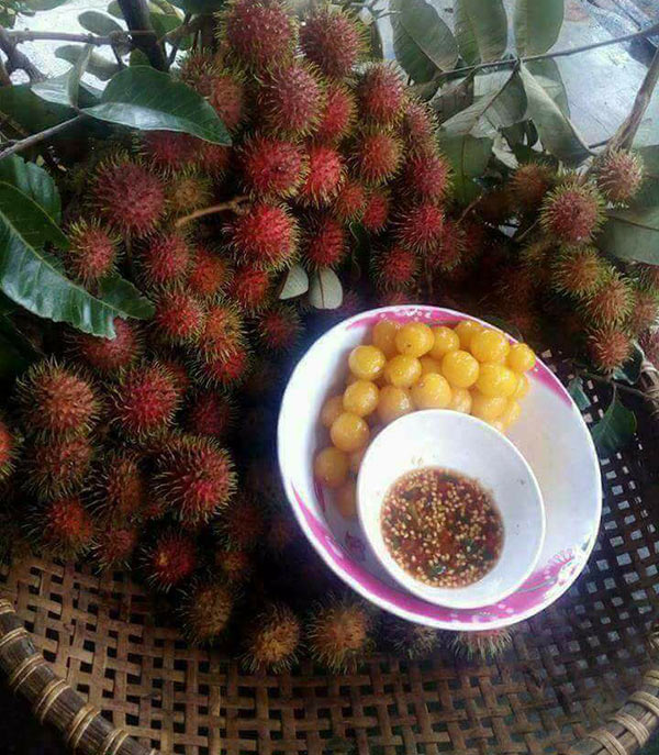 chom chom ruot vang 80 nghin/kg duoc tin do an vat sai gon rao riet tim mua - 9