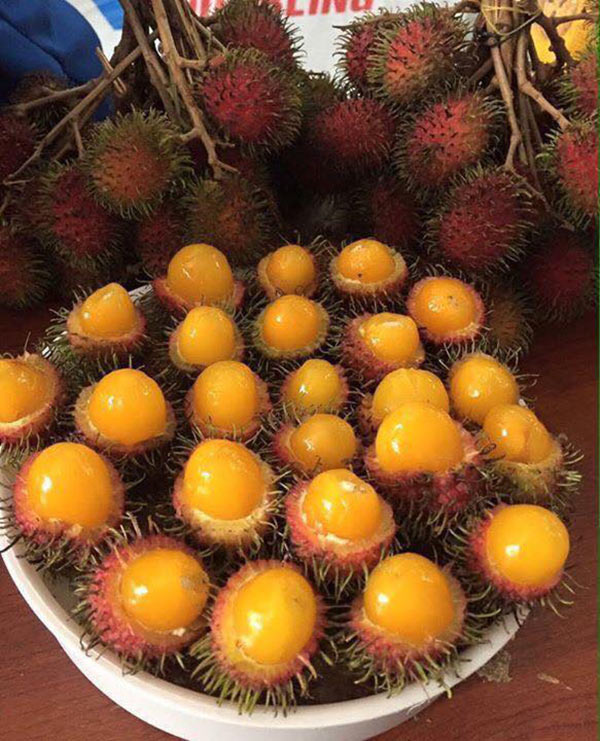chom chom ruot vang 80 nghin/kg duoc tin do an vat sai gon rao riet tim mua - 1