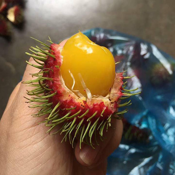 chom chom ruot vang 80 nghin/kg duoc tin do an vat sai gon rao riet tim mua - 4